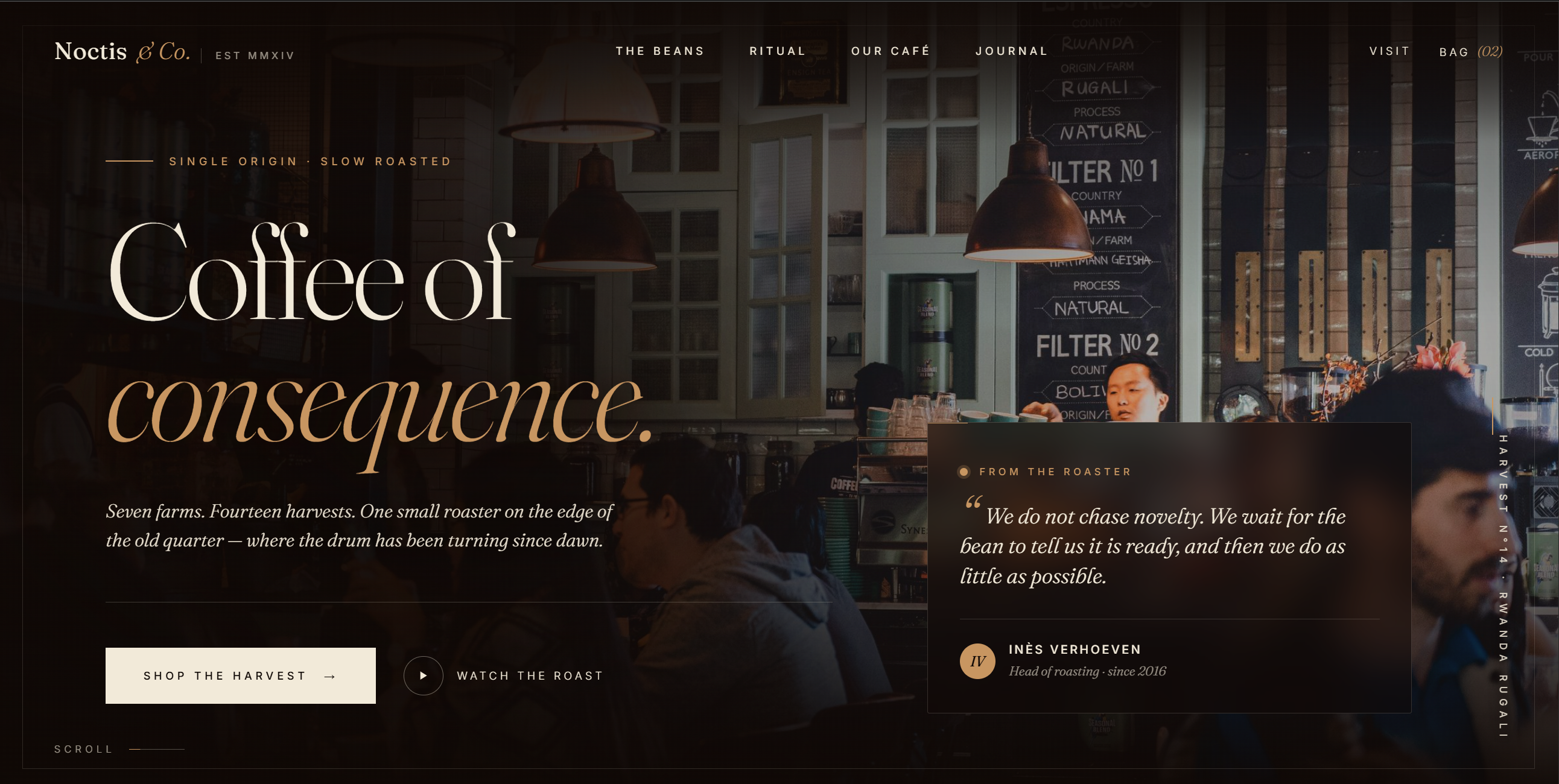 Noctis & Co. — specialty coffee brand & website